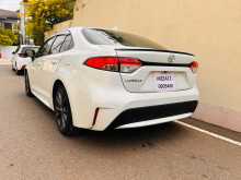 https://riyasewana.com/uploads/toyota-corolla-wxb-2023-515330412554.jpg