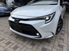 Toyota Corolla WxB 2023 Car