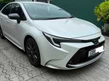 Toyota Corolla Wxb 2024 Car
