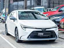 Toyota Corolla WXB 2024 Car