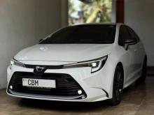 Toyota Corolla WXB 2022 Car