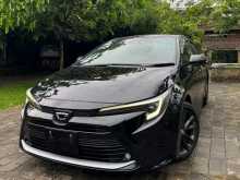 Toyota Corolla WXB 2023 Car