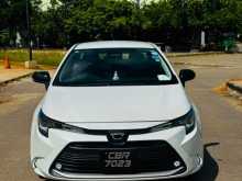 Toyota Corolla WXB 2023 Car