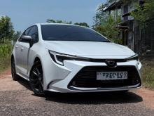 Toyota Corolla WXB 2022 Car