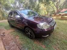 Toyota Corolla 121 2003 Car