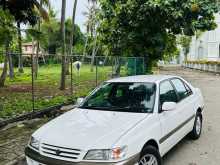 Toyota Corona Premio 1996 Car