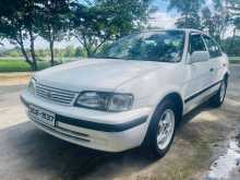 Toyota Could 1998 Car