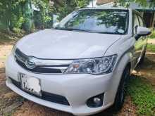 Toyota Axio 2014 Car