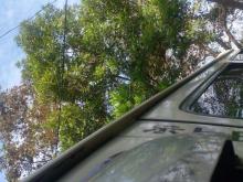 https://riyasewana.com/uploads/toyota-dolphin-lh113-7941306926.jpg
