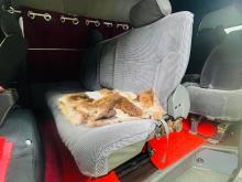 https://riyasewana.com/uploads/toyota-dolphin-lh123-2911161717726.jpg