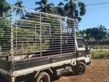 Toyota Dyna 1991 Lorry