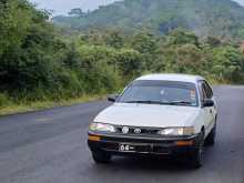 Toyota E106 Wagon Elephant Back 1991 Car