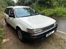 Toyota Corolla EE102 Elephantback 1998 Car