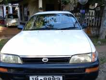 Toyota Corolla Elephant Back 1993 Car