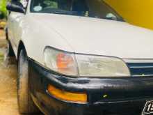 https://riyasewana.com/uploads/toyota-elephant-back-1992-1718320512784.jpg