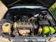 Toyota Elephant Back AE100 L Touring Wagon 1992 Car