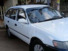https://riyasewana.com/uploads/toyota-elephant-back-1993-5171041128821554.jpg