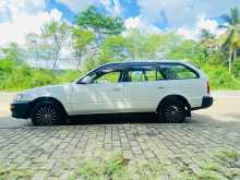 Toyota Corolla Dx Wagon Elephant Back 1996 Car