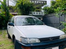 Toyota Corolla Elephant Back 102 1995 Car