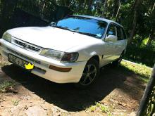 Toyota Corolla Elephant Back 108 1998 Car