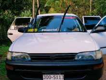 Toyota Corolla Elephant Back 102 1995 Car
