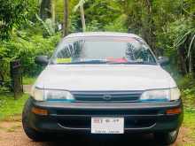 Toyota Corolla Elephant Back 102 1995 Car