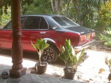 Toyota KE50 1983 Car