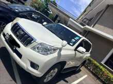 Toyota Land Cruiser 2010 SUV