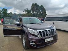 Toyota Land Cruiser Prado TX 2010 SUV
