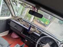 https://riyasewana.com/uploads/toyota-lite-ace-161631254933.jpg