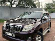 Toyota Prado TX150 2010 SUV