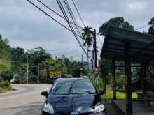 Toyota Prius 2014 Car
