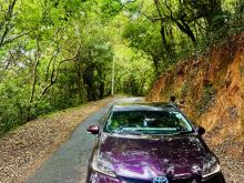 Toyota Prius 2013 Car