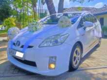 Toyota Prius 2011 Car