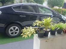 https://riyasewana.com/uploads/toyota-prius-23170533892.jpg
