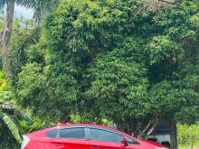 Toyota Prius 2011 Car