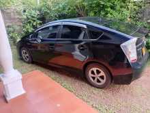 Toyota Prius 2010 Car