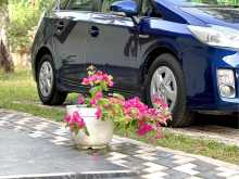 Toyota Prius S Led 2012 Car