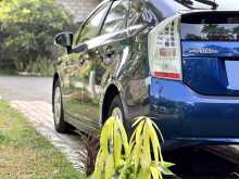 https://riyasewana.com/uploads/toyota-prius-s-1711362022543.jpg