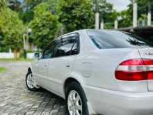Toyota SE Corolla 1998 Car