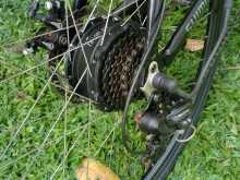 https://riyasewana.com/uploads/toyota-shimano-191005444273.jpg