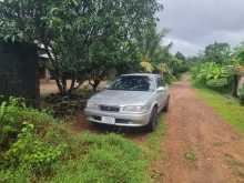 Toyota Sprinter 110 1996 Car