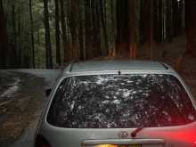 https://riyasewana.com/uploads/toyota-starlet-717422922972.jpg