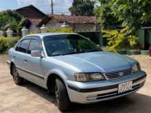 Toyota Tercel 1999 Car