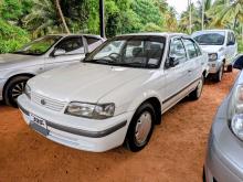 Toyota Tercel 1998 Car