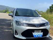 Toyota Axio Wxb Anniversary 2019 Car