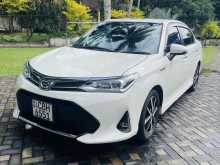 Toyota Axio 2019 Car