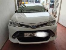 Toyota Axio G Grade 2017 Car