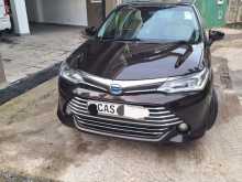 Toyota Axio 2016 Car