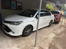 Toyota Axio Wxb 2016 Car